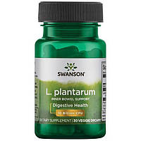 Підтримка внутрішньої кишки, L plantarum Inner Bowel Support, Swanson, 10 мільярд КУО 30 капсул
