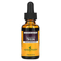 Екстракт туї, Herb Pharm, 30 мл