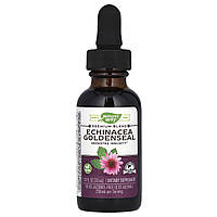 Ехінацея і гідрастіс на 99.9% без спирту Nature's Way (Echinacea Goldenseal) 250 мг 30 мл