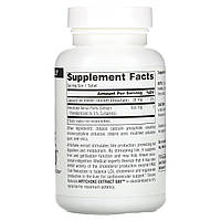 Екстракт артишоку 500, Artichoke Extract 500, Source Naturals, 500 мг, 180 таблеток