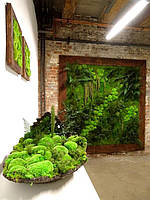 Стіни з моху купинами від ARTIS GREN