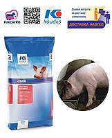 Фінішер для поросят Премікс 2,5% (від 50 кг живої ваги) (25 кг) Коудайс Україна 3640.025 Баланс