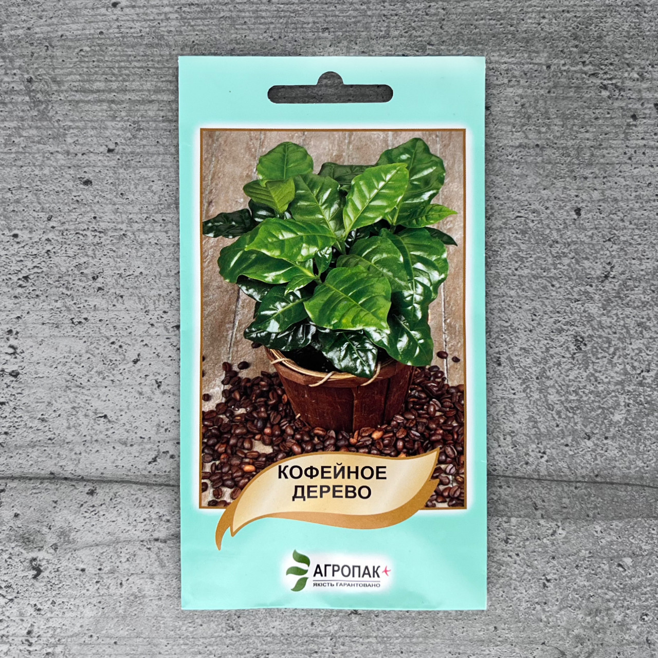 Кавове дерево 5 шт насіння пакетоване Агропак, фото 1
