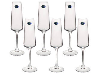 Набір келихів для шампанського corvus 160 мл 6шт