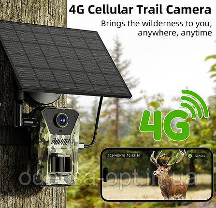 Фото лавка для полювання міні відеореєстратор 4G SOLAR F8, фото 1
