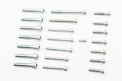 Болти двигуна к-кт (М6х10mm, М6х25mm-6шт, М6х30mm, М6х45mm-2шт, М6х50mm-3шт, М6х55mm, М8х40mm-7шт, М8х70mm) 638 12V, YT-343464