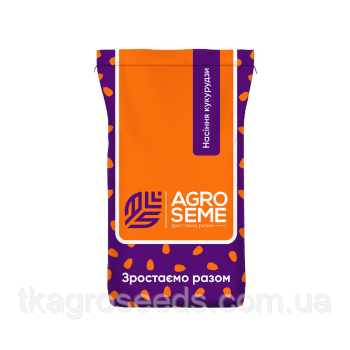 Насіння кукурудзи гібрид ДБ Хотин ФАО 250 (2024 рік) AGRO SEME