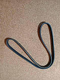 Ремінь кондиціонера і гідропідсилювача керма після 2006 року BYD F3, Бид Ф3, Бід Ф3, фото 2