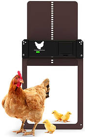 Автоматичні двері для курника, Chicken House Door, 35x24 см.