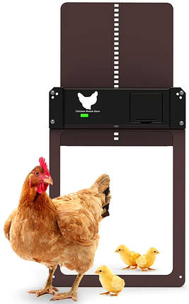 Автоматичні двері для курника, Chicken House Door, 35x24 см., фото 1