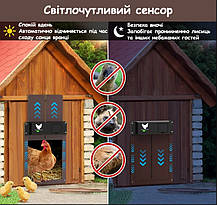 Автоматичні двері для курника, Chicken House Door, 35x24 см., фото 6