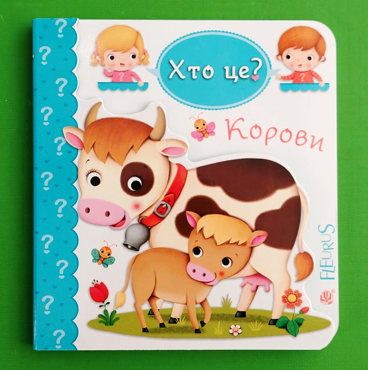 Хто це? Корови. Богдан