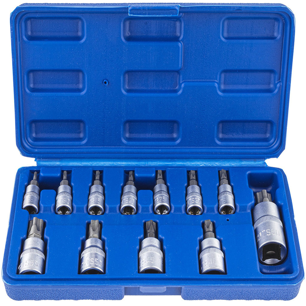 Набір біт TORX 1/4″/3/8″/1/2″ типу S TS8-TS60 впресованих у головку 12 ел. Vorfal V08405, фото 1