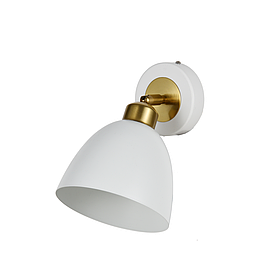 BD663-1 WT
