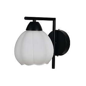 BD662-1 BK