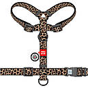 Шлея M 46-60 см анатомічна H-подібна WAUDOG Nylon з QR паспортом Леопард для собак, фото 2