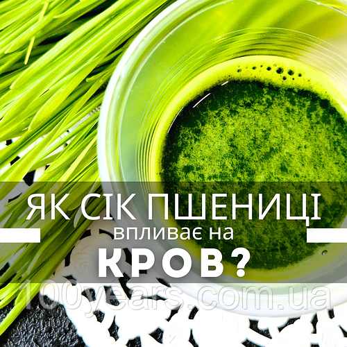Як сік пшениці та ячменю впливає на кров?