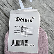 Підслідники жіночі бавовна із силіконовою п'ятою Фенна, розмір 37-41, асорті, 75-3А, фото 5