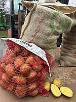 Насіннєва Картопля Сенсейшн Еліта 25кг (Голландія)