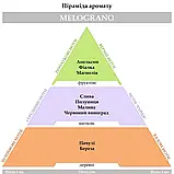 Парфумована свічка Melograno, 200г, фото 3