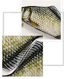 Стильний пенал / косметичка з 1 відділенням у вигляді Карася для канцелярського приладдя або косметики, сірий, фото 4