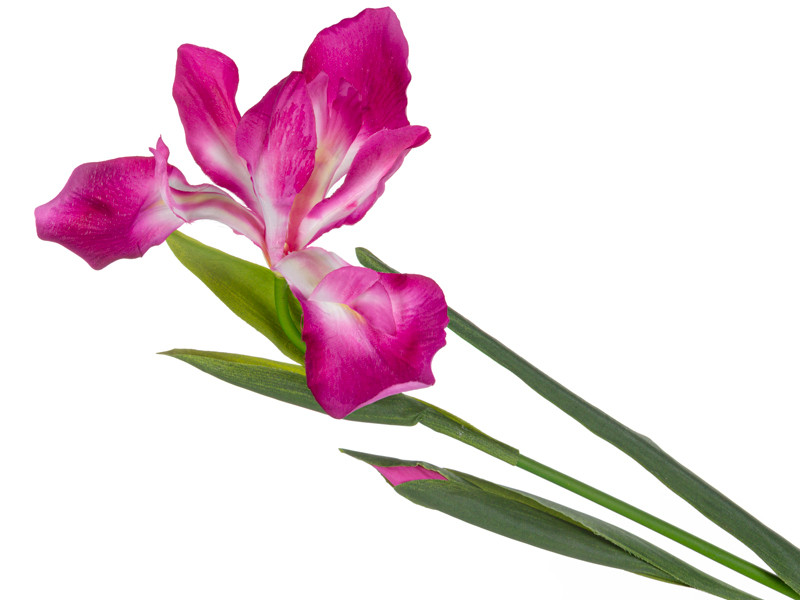 Ірис рожевий 76 см (пластик), фото 1