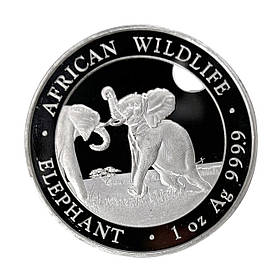 Колекційна срібна монета 100 сомалійськихгулів «Сомалійський слон» 2024, 1 унція срібла