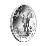 Срібна інвестиційна монета 2025 African Wildlife Somalian Elephant 1 унція Слон Софі 100 колготок, фото 5
