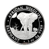Срібна інвестиційна монета 2025 African Wildlife Somalian Elephant 1 унція Слон Софі 100 колготок, фото 6
