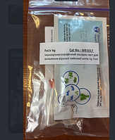 Експрес-тест для виявлення вірусу лейкемії котів Ag Test (FeLV Ag) -  Quicking Biotech Co, Ltd.) Китай