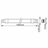 LED лампа VIDEX T8b 18W 1.2M 4100K матова, фото 4