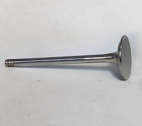 Клапани / штовхачі / коромисло