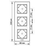 Рамка срібний алюміній на 3 місця вертикальна VIDEX BINERA, фото 3