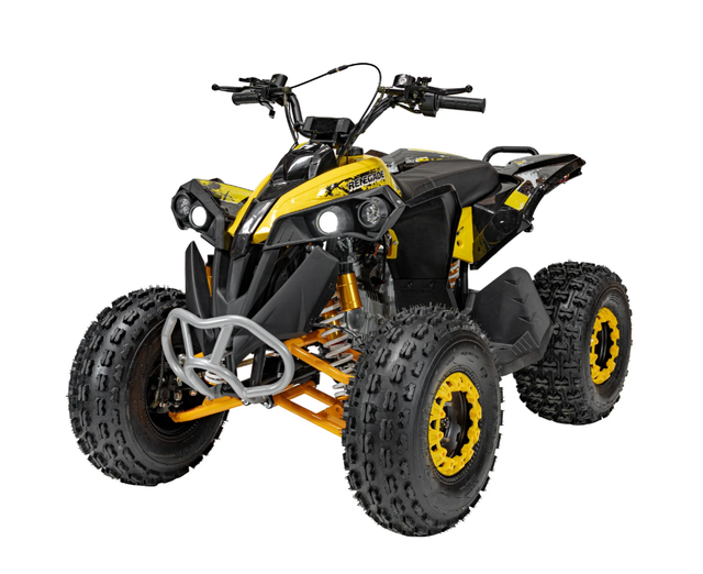 Квадроцикл с двигателем внутреннего сгорания Ramiz Renegade HighPer 125CC