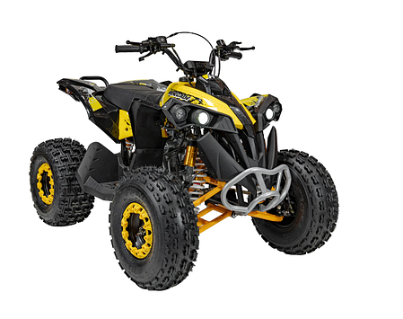 Квадроцикл із двигуном внутрішнього згоряння Ramiz Renegade HighPer 125CC, фото 1