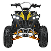 Квадроцикл із двигуном внутрішнього згоряння Ramiz Renegade HighPer 125CC, фото 7