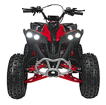 Квадроцикл із двигуном внутрішнього згоряння Ramiz Renegade HighPer 125CC, фото 3