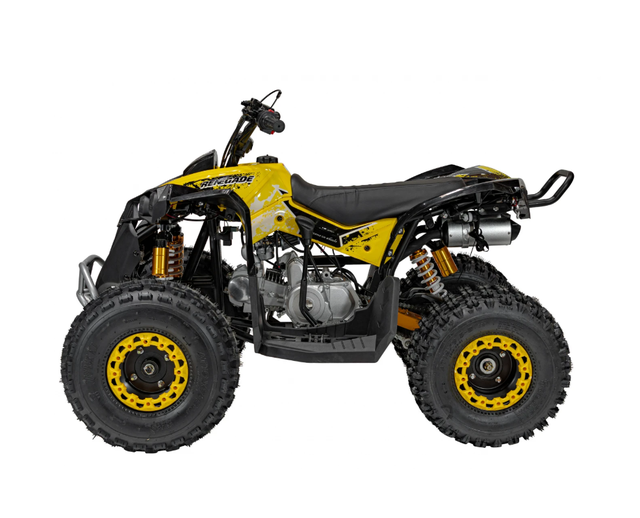 Квадроцикл с двигателем внутреннего сгорания Ramiz Renegade HighPer 125CC