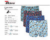 Дитячі труси боксери стрейчеві на хлопчика МАРКА «INDENA» Арт.21006, фото 7