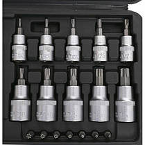 Набір біт і головок Torx 30 шт. Kraft&dele KD10242, фото 3