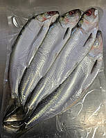 Дунайка солена та патрошона в вакуумі 4-5шт(~1-1,3 кг)