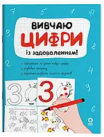 Книга Рік до школи. Вивчаю цифри із задоволенням! / Н.Ф. Юрченко (9786170043115) (українською)