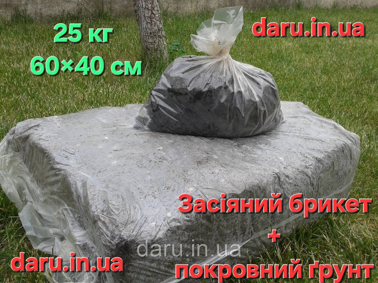 Повний комплект блок білої печериці (печериць)TripleX (Трипликс) Стандарт + покривний грунт