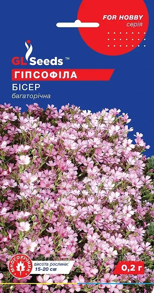 Гіпсофіла Бісер багаторічна витончена стільна з хмарою ніжних квіток рослина, пакування 0,1 г