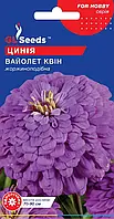 Цинія Вайолет Квін однорічна жоржиноподібна, упаковка 0,5 г