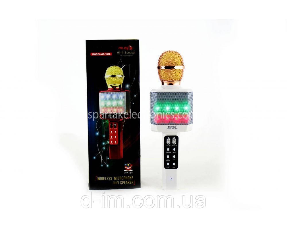 Мікрофон DM Karaoke WS 1828