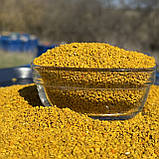 Пилок бджолиний квітковий 2025 р весняний солодкий скляна баночка 450 грам, фото 6