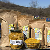 Пилок солодкий весняний бджолиний квітковий 2025 р 300 грам, фото 5