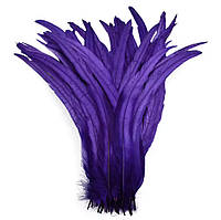 Перо півня (виберіть довжину), ширина 2,5 см, колір Purple, 1 шт.
