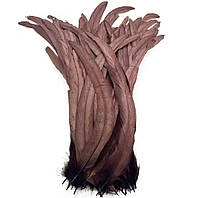 Перо півня, ширина 2,5 см, колір Cooper, 1 шт.